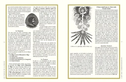 Les Tables de la Magie - Extrait 3