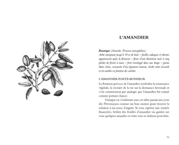 Plantes porte-bonheur - Extrait 4